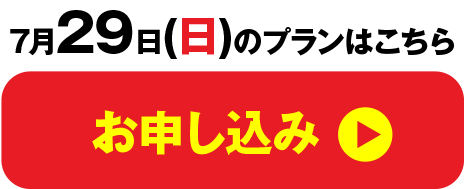 29日お申し込み